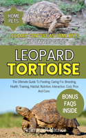 Leopard Tortoise