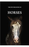The Picture Book of Horses