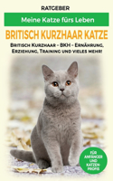 Britisch Kurzhaar Katze