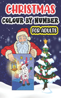 Christmas Colour by Number for Adult