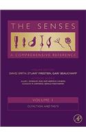 Senses: A Comprehensive Reference