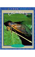Cicadas