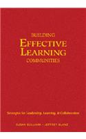 Building Effective Learning Communities