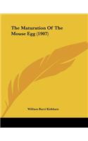 The Maturation Of The Mouse Egg (1907)