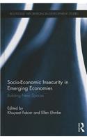 Socio-Economic Insecurity in Emerging Economies