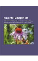 Bulletin Volume 101