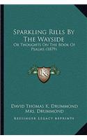 Sparkling Rills by the Wayside