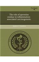 The Role of Spermine Oxidase in Inflammation-Associated Carcinogenesis