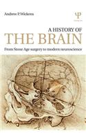 A History of the Brain