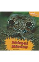 Animal Mimics