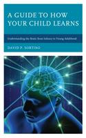 A Guide to How Your Child Learns: Understanding the Brain from Infancy to Young Adulthood