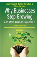 Why Businesses Stop Growing