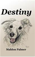 Destiny