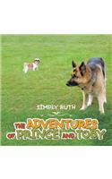 Adventures of Prince and Toby