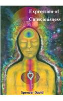 Expression of Consciousness