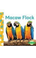 Macaw Flock
