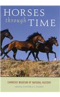 Horses through Time