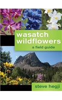 Wasatch Wildflowers