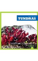 Tundras