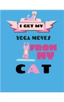 I Get My Yoga Moves From My Cat