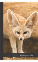 Fennec Fox Notes