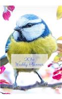 2019 Weekly Planner: Pretty Little Bird