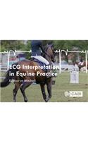 ECG Interpretation in Equine Practice