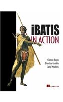 iBatis in Action