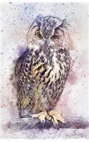 Journal Notebook Watercolor Owl: Lined and Numbered Pages With Index Blank Journal For Journaling, Writing, Planning and Doodling.(54 Lined Journal Notebook)