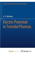 Electric Potential in Toroidal Plasmas