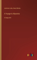 Voyage to Abyssinia