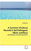 A Common Virulence Plasmid in Eel-Pathogenic Vibrio vulnificus - Identification and Characterization