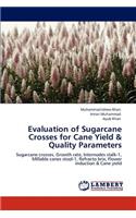 Evaluation of Sugarcane Crosses for Cane Yield & Quality Parameters