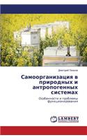 Samoorganizatsiya V Prirodnykh I Antropogennykh Sistemakh