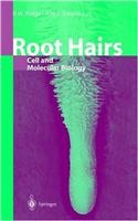 Root Hairs