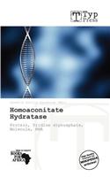Homoaconitate Hydratase