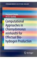 Computational Approaches in Chlamydomonas Reinhardtii for Effectual Bio-Hydrogen Production