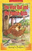 The Wise Owl and the Foolish Birds (Large Print Story Books)