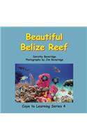 Beautiful Belize Reef