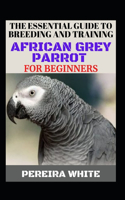 The Essential Guide To Breeding And Training African Grey Parrot For Beginners