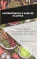 Antibiotiques À Base De Plantes