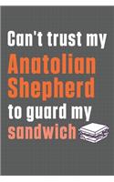 Can't trust my Anatolian Shepherd to guard my sandwich: For Anatolian Shepherd Dog Breed Fans