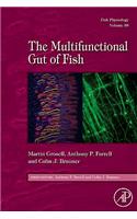 Fish Physiology: The Multifunctional Gut of Fish: Volume 30