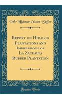 Report on Hidalgo Plantations and Impressions of La Zacualpa Rubber Plantation (Classic Reprint)