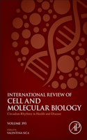 Circadian Rhythms in Health and Disease: Volume 393(Volume 393 International Review of Cell and Molecular Biology)