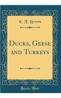 Ducks, Geese and Turkeys (Classic Reprint)