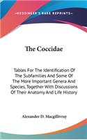 The Coccidae