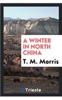 A Winter in North China