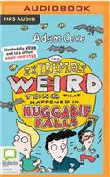 Extremely Weird Thing That Happened in Huggabie Falls