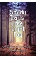 Shady Trails in a Light Fog